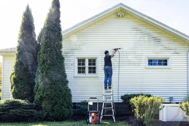 Best Driveway Pressure Washing  in Festus, MO
